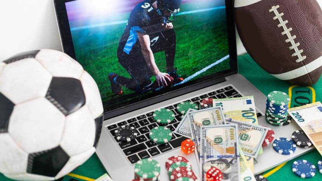 Khám phá trải nghiệm mới cùng Rainforest Magic Bingo và những bất ngờ từ Rainforest Magic Bingo