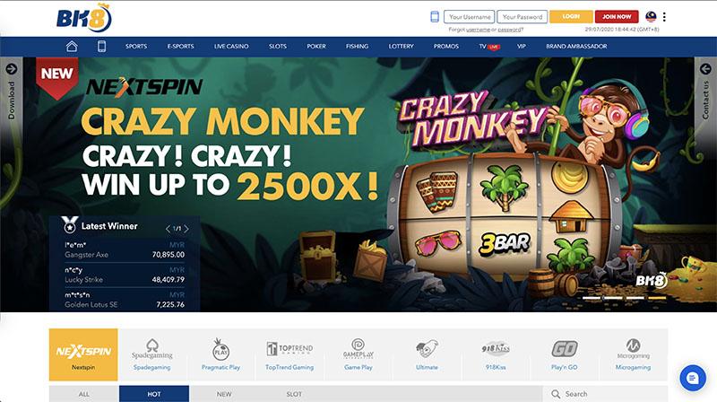 Khám phá bộ sưu tập ảnh đánh bài ấn tượng nhất cho người mê game bài
